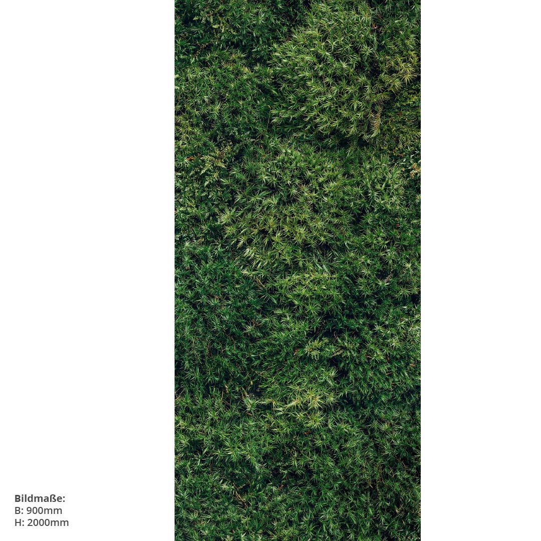 Mooswand Dunkel, fugenlose Wandpaneele aus Alu-Verbund 3mm, Duschrückwand - Duschrückwand-Platten
