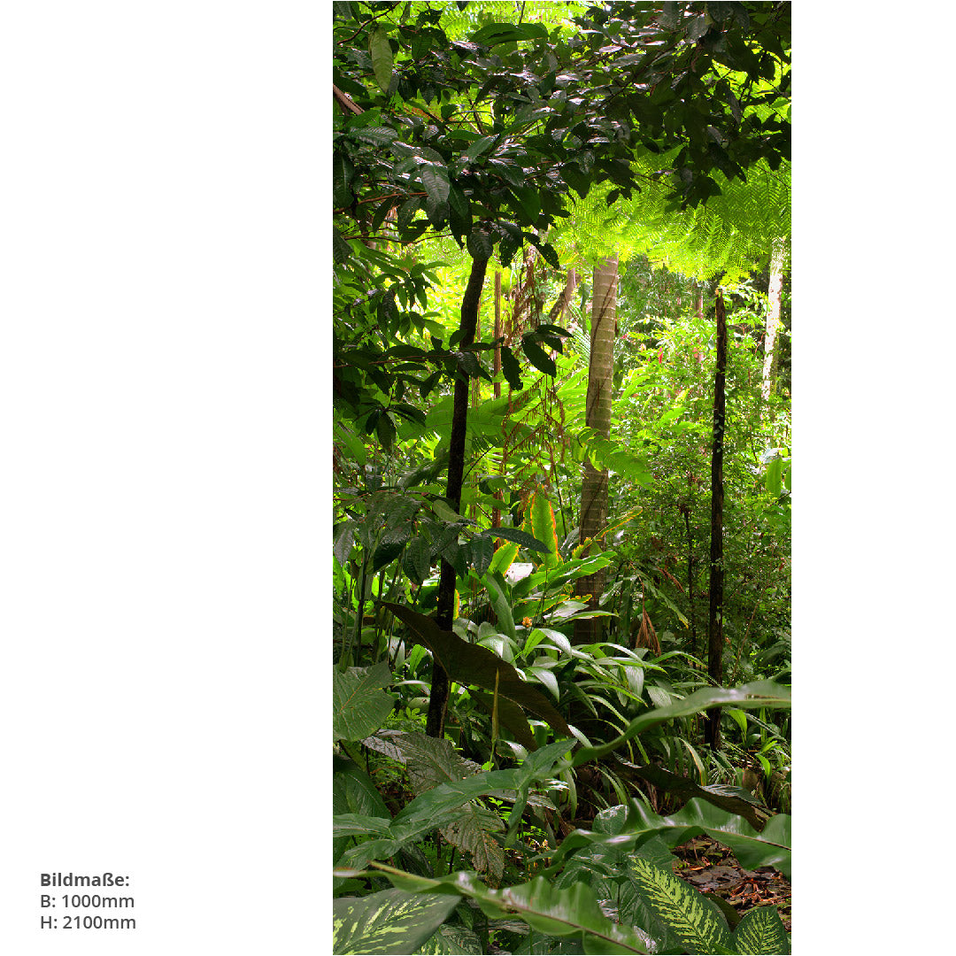 Regenwald, fugenlose Wandpaneele aus Alu-Verbund 3mm, Duschrückwand - Duschrückwand-Platten