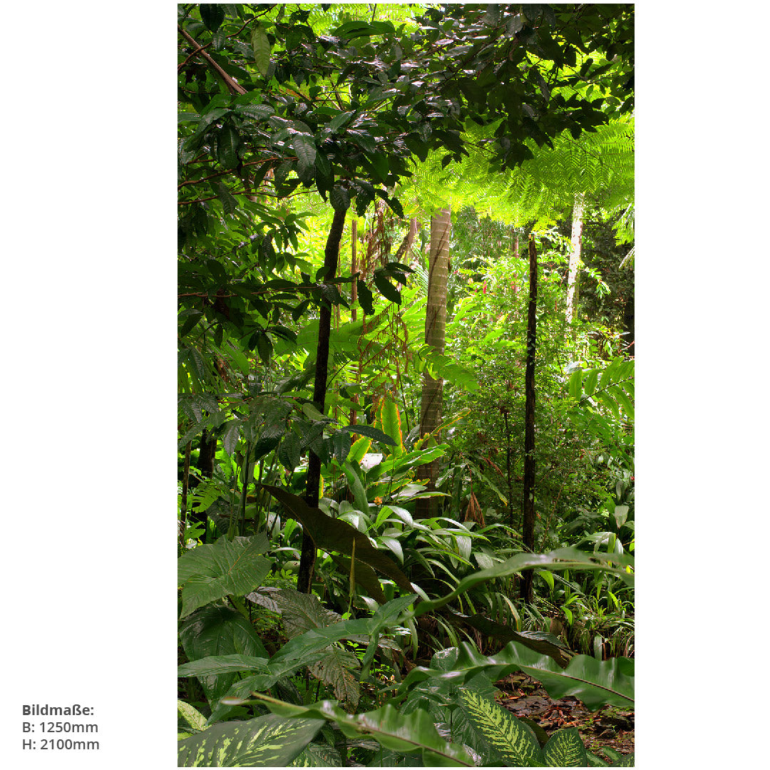 Regenwald, fugenlose Wandpaneele aus Alu-Verbund 3mm, Duschrückwand - Duschrückwand-Platten