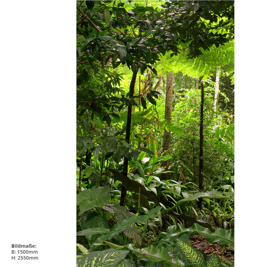 Regenwald, fugenlose Wandpaneele aus Alu-Verbund 3mm, Duschrückwand - Duschrückwand-Platten