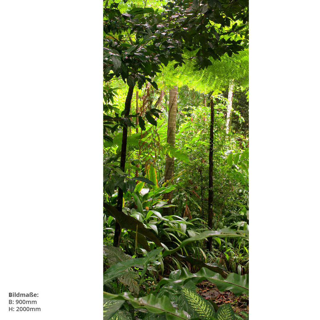 Regenwald, fugenlose Wandpaneele aus Alu-Verbund 3mm, Duschrückwand - Duschrückwand-Platten