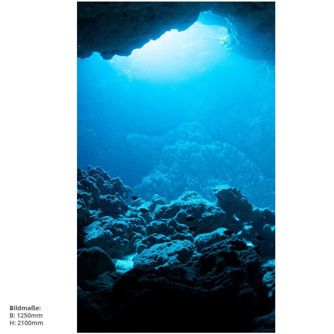 Taucherlebnis, fugenlose Wandpaneele aus Alu-Verbund 3mm, Duschrückwand - Duschrückwand-Platten