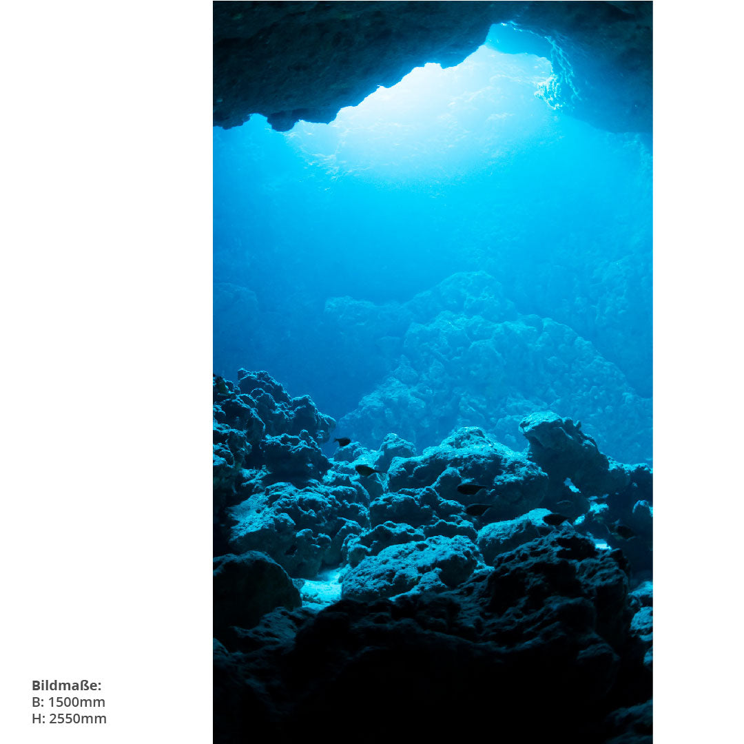 Taucherlebnis, fugenlose Wandpaneele aus Alu-Verbund 3mm, Duschrückwand - Duschrückwand-Platten