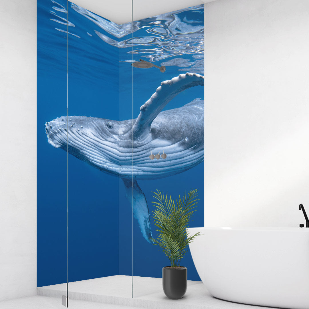 Duschrueckwand Alu Fugenlos Wandpaneele