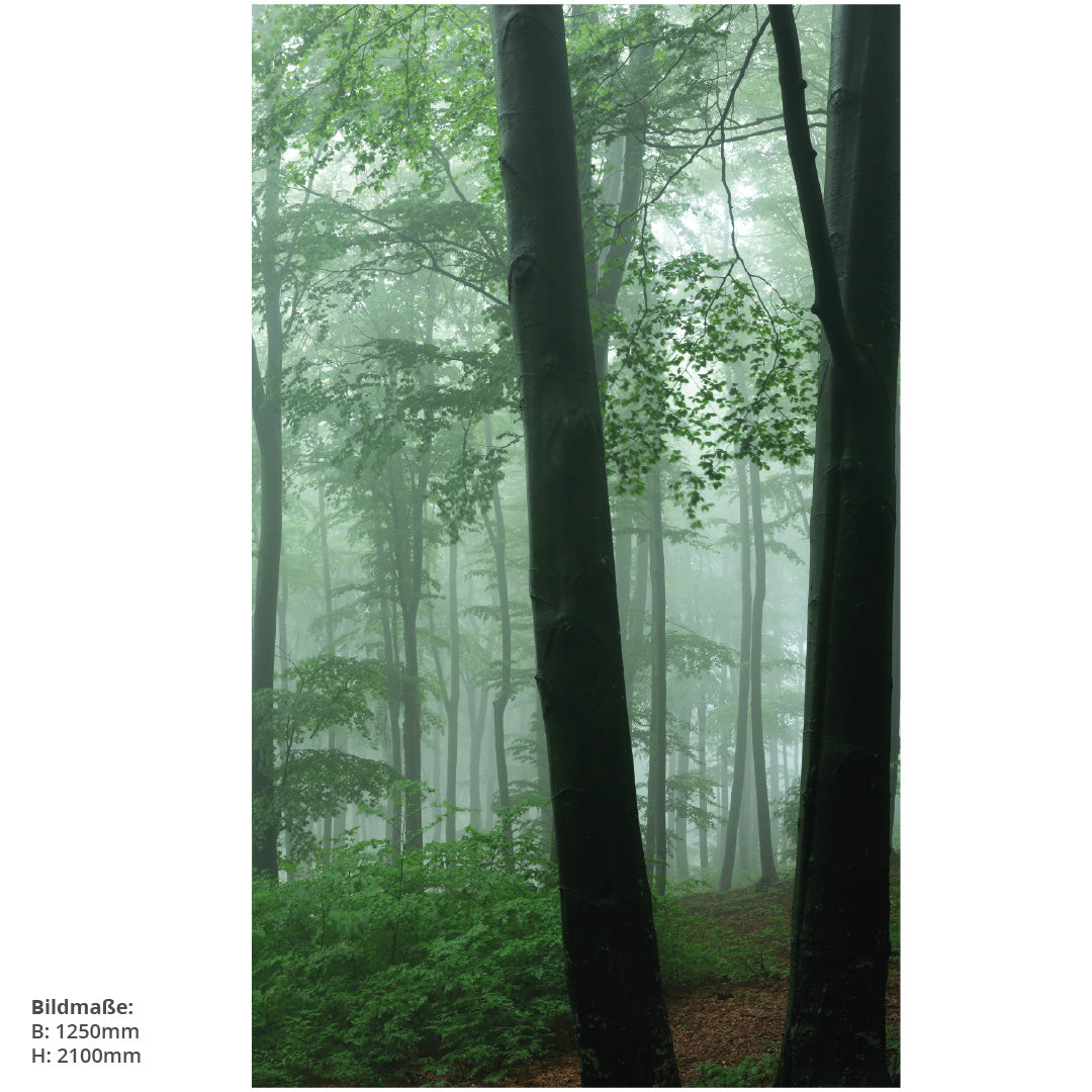 Nebel im Wald, fugenlose Wandpaneele aus Alu-Verbund 3mm, Duschrückwand - Duschrückwand-Platten