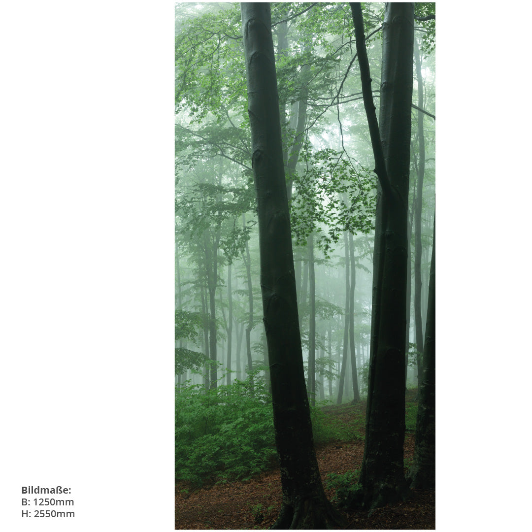 Nebel im Wald, fugenlose Wandpaneele aus Alu-Verbund 3mm, Duschrückwand - Duschrückwand-Platten