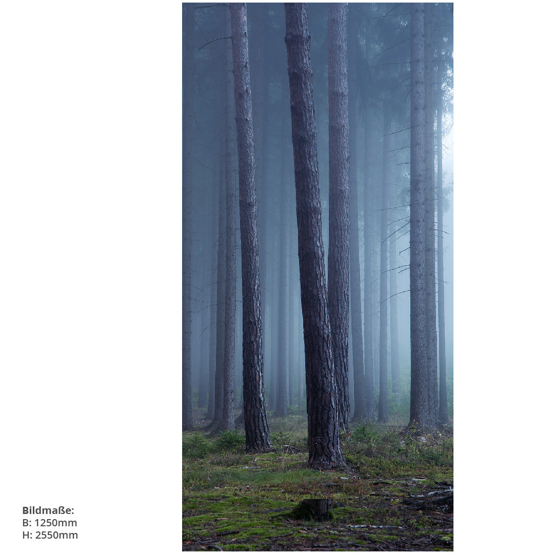 Wald Mystisch, fugenlose Wandpaneele aus Alu-Verbund 3mm, Duschrückwand - duschrückwand-platten.de