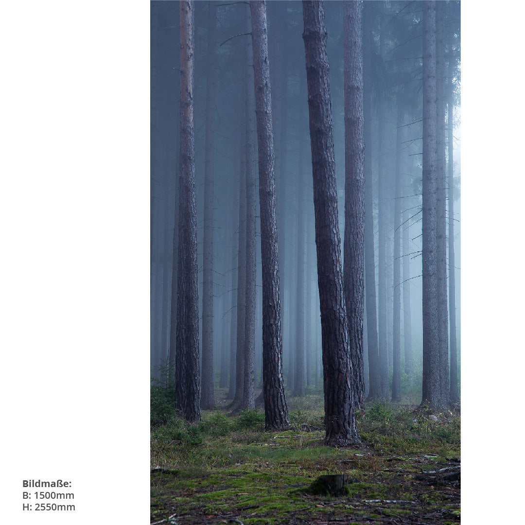 Wald Mystisch, fugenlose Wandpaneele aus Alu-Verbund 3mm, Duschrückwand - duschrückwand-platten.de