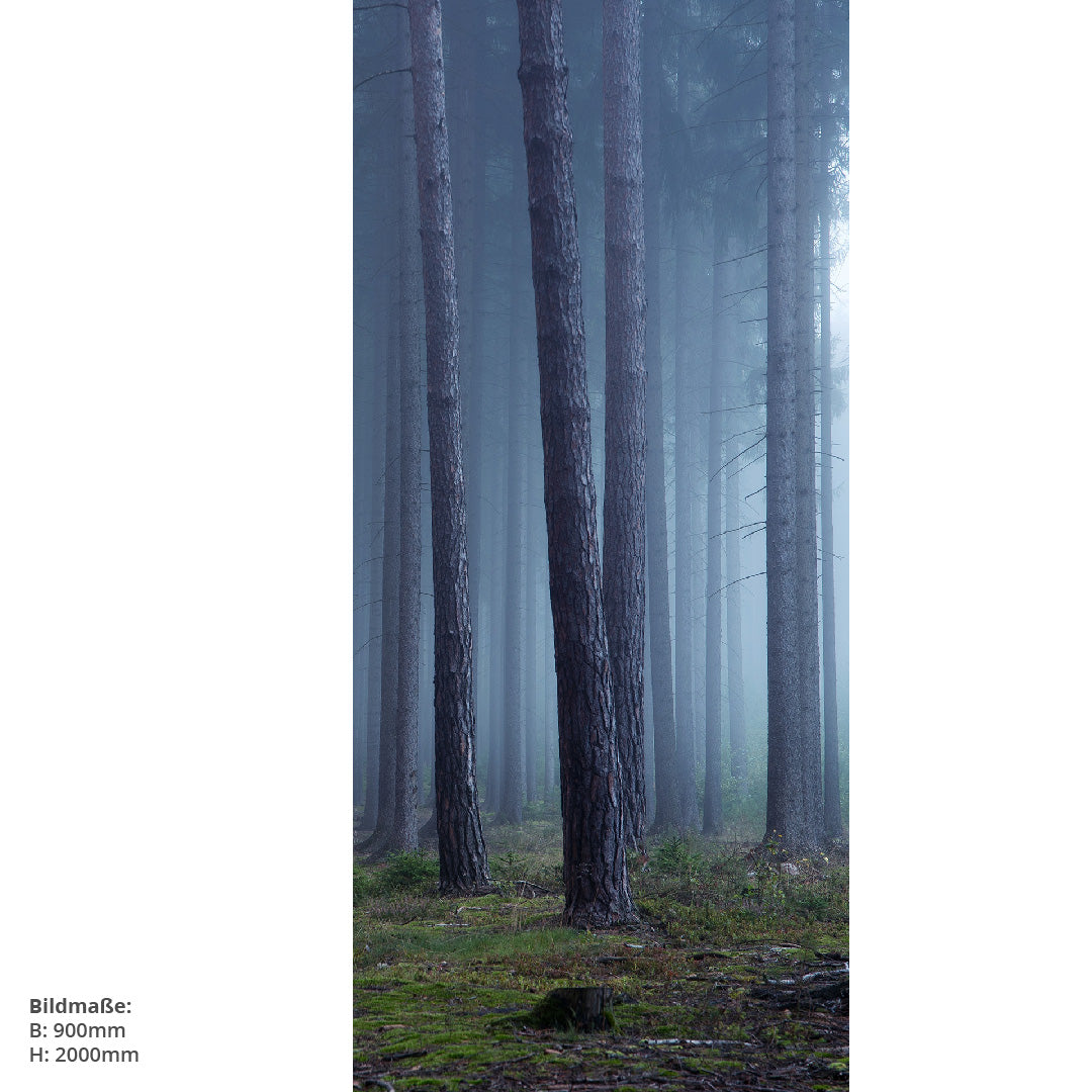 Wald Mystisch, fugenlose Wandpaneele aus Alu-Verbund 3mm, Duschrückwand - duschrückwand-platten.de